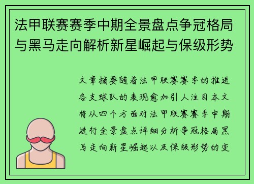 法甲联赛赛季中期全景盘点争冠格局与黑马走向解析新星崛起与保级形势观察